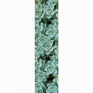 Table Runner Desert Rose