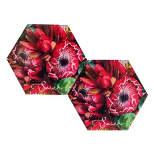 Swier Cape Red Protea Coaster
