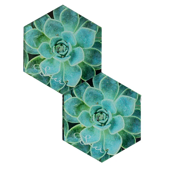 Coaster Desert Rose