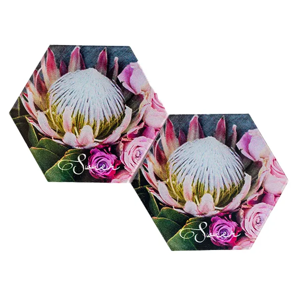 Swier Pastel Perfect Protea Coaster